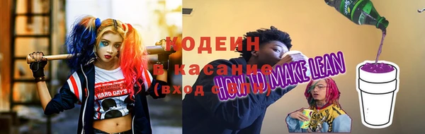 ГАЛЛЮЦИНОГЕННЫЕ ГРИБЫ Арсеньев